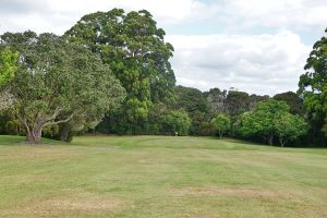 Waitangi 1st Approach